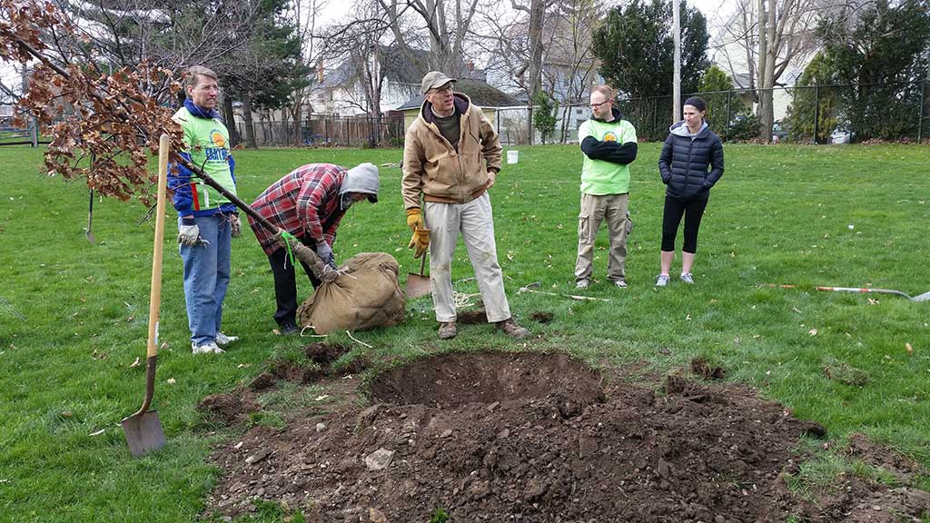 Spring Tree Planting - Welcome to Kauffman Park - Lakewood, Ohio
